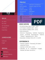 CV Update PDF
