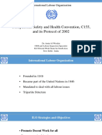 ILO c155 Convention PDF