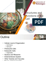 Structures and Functions of The Cell