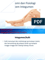 Anatomi Fisiologi Sistem Integumen by Sinta