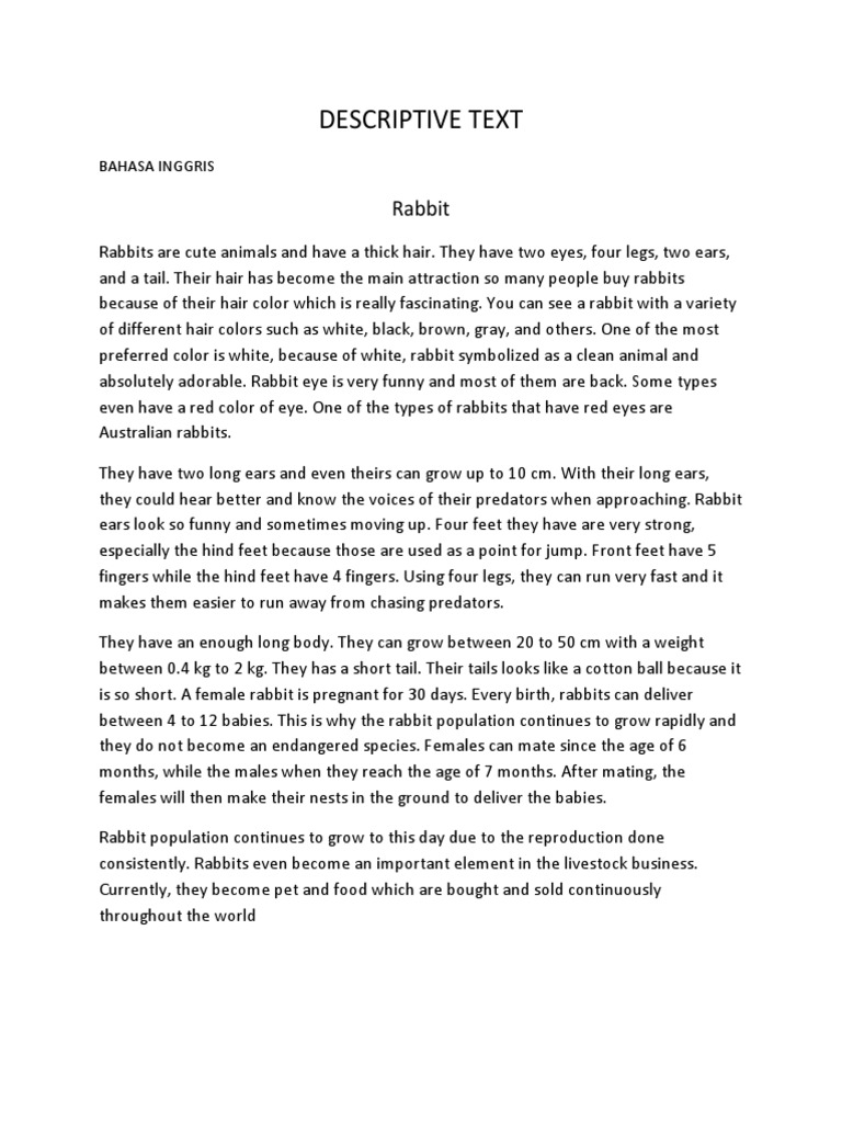 Descriptive Text: Rabbit | PDF | Rabbit | Rabbits And Hares