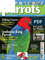 Parrots__November_2017.pdf