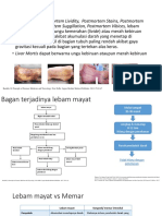 Revisi Lebam Mayat