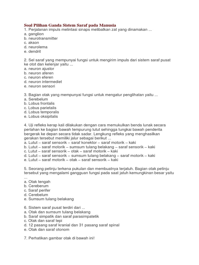 Soal Saraf