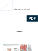 Adrenal Dan Paratiroid