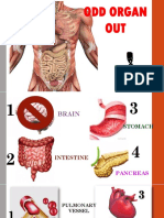 Nervous Odd Organ Out