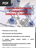 Aula - 8 - Micologia