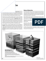 Naturas Gas - EE.UU.pdf
