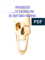 Anatomia 1 PDF