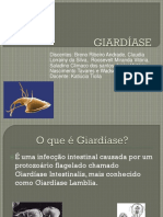 Giardiase Slide