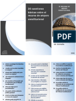 amparo al constitucional.pdf