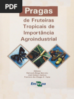 Pragas de Fruteiras Tropicais de importância Agroindustrial