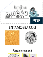 ENTAMOEBA COLI.pptx