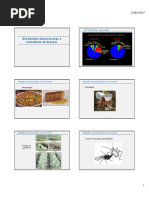 Ectoparasitas Med_2017.pdf