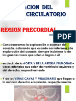 Area Precordial