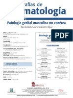 Patología Masculina No Venérea PDF