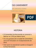 Queso Camembert