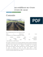 8 Pasos para Establecer Un Vivero de Cacao Vivero de Cacao