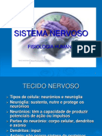 2 SISTEMA NERVOSO 2008.ppt