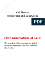 Cell Theory . Prokaryotes and Eukaryotes