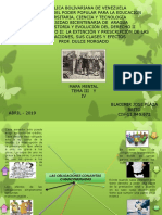 Mapa Mental Historia y Evolucion Del Derecho Tema III y IV Bladimir Plaza