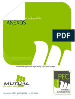 Anexos Programa PEC Autogestion.pdf