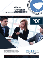 Curso Especializacion Direccion y Gestion de Proyectos Empresariales