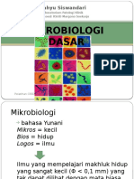 Mikro Dasar CSSD 2016