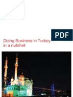 Doing Business in Turkey