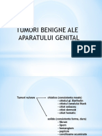 Endometrioza, Hemoragii Disfunctionale Si Malformatii