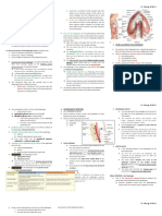 Diaphragm Gross Anatomy