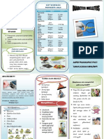leaflet DM.docx