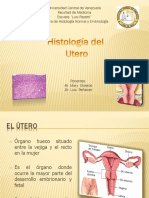 56704976-Histologia-Del-Utero.pptx
