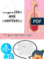 How Your Microbial Organ Helps Digest Food