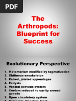 The Arthropods: Blueprint For Success