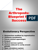 Arthropod Blueprint: Exoskeleton and Metamorphosis Fuel Success