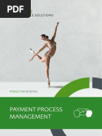 Payment Process Management: in Detail