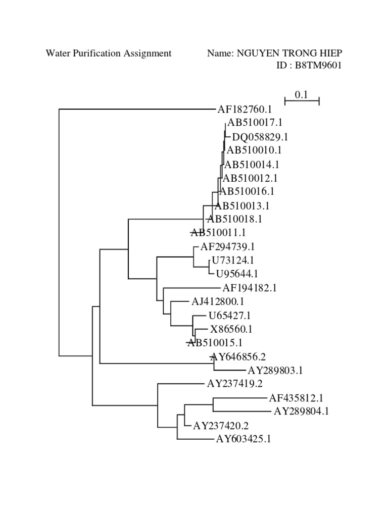 Water Purification Assignment