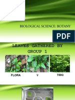 Biological Science: Botany: Group 1