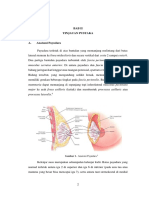 Tumor Phyllodes