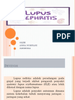 Lupus Nephritis Nisa