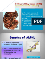 Autosomal Dominant Polycystic Kidney Disease (ADPKD)