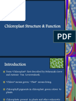 Chloroplast Structure & Function