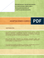 Adaptaciones Curriculares I