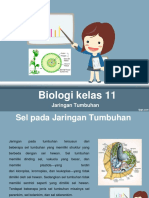 Jaringan Tumbuhan (Biologi Kelas 11)
