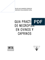 ct-152necropsia ovinos.pdf