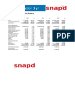 Group 3 - SNAP D P&L Projections