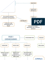 Metabolismo de Los Farmacos