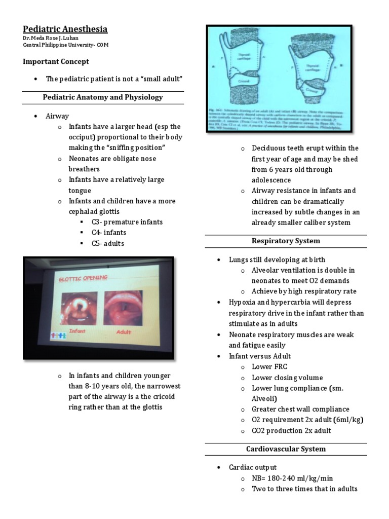 Pediatric Anesthesia | PDF | Respiratory System | Medical Specialties