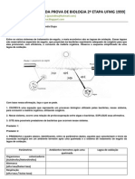 Correção Da Prova de Biologia 2 Etapa Ufmg 1999